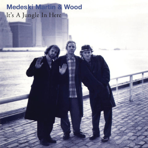 Medeski, Martin & Wood