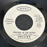 Hollies