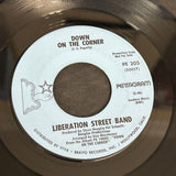 Liberation Street Band