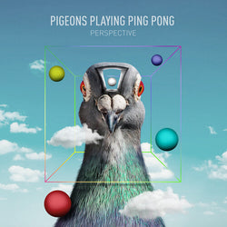 Pigeons Playing Ping Pong