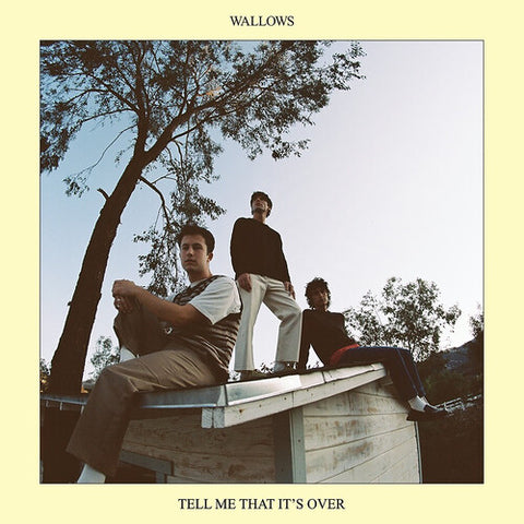 Wallows