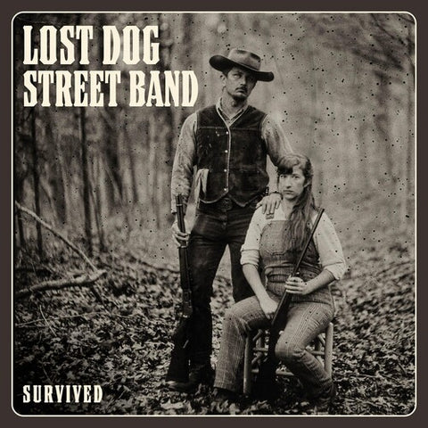 Lost Dog Street Band