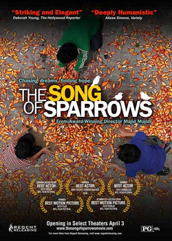 The Song Of Sparrows