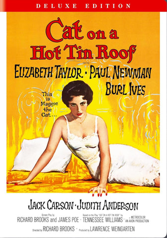 Cat On A Hot Tin Roof