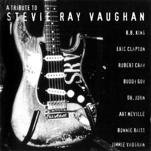 Tribute To Stevie Ray Vaughan