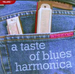 In The Pocket A Taste Of Blues Harmonica