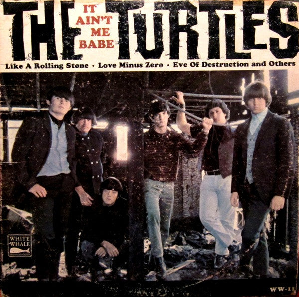 The Turtles