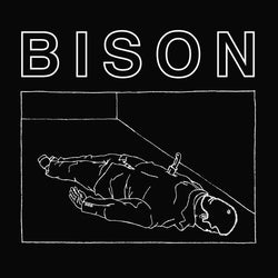 Bison