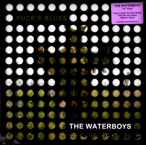 The Waterboys