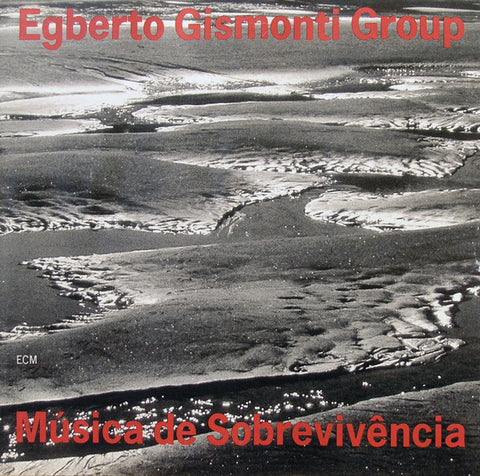 Egberto Gismonti Group