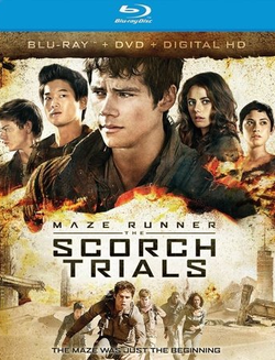 Maze Runner: The Scorch Trials (2-Disc Ultimate Fan Edition) [Blu-ray/DVD]