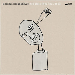 Meshell Ndegeoecello