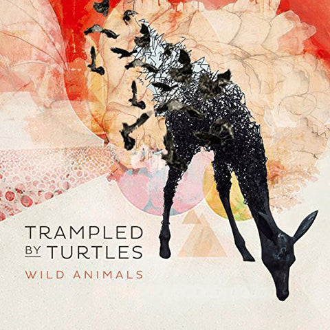 Trampled By Turtles