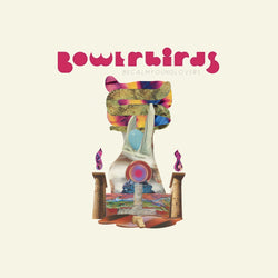 Bowerbirds