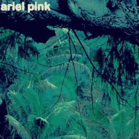 Ariel Pink's Haunted Graffiti