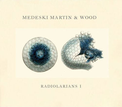 Medeski Martin & Wood