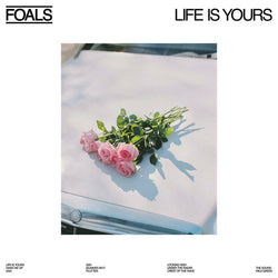 Foals